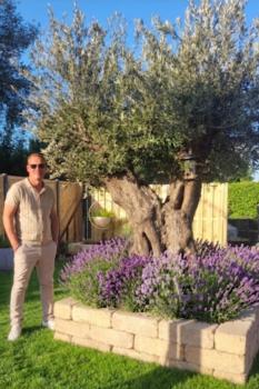 Preview: 2x  Lavendel x intermedia XL Pflanzen - 26 cm Topf.