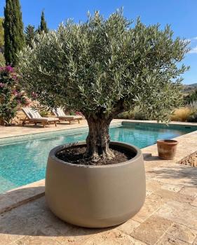 Pflanzkübel (extrem vaso)