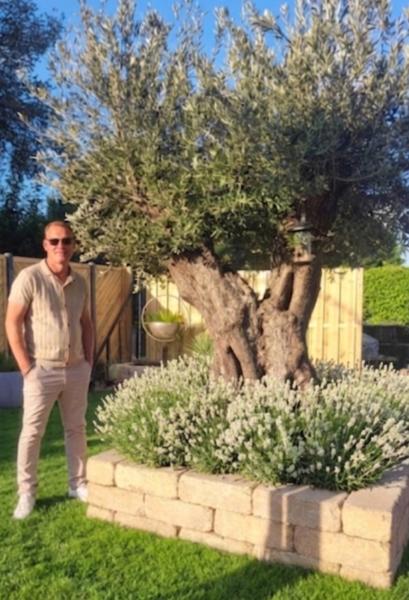 10 x Lavendel 'Edelweiß' – 14 cm Topf - Der weiße Traum für Ihren Garten